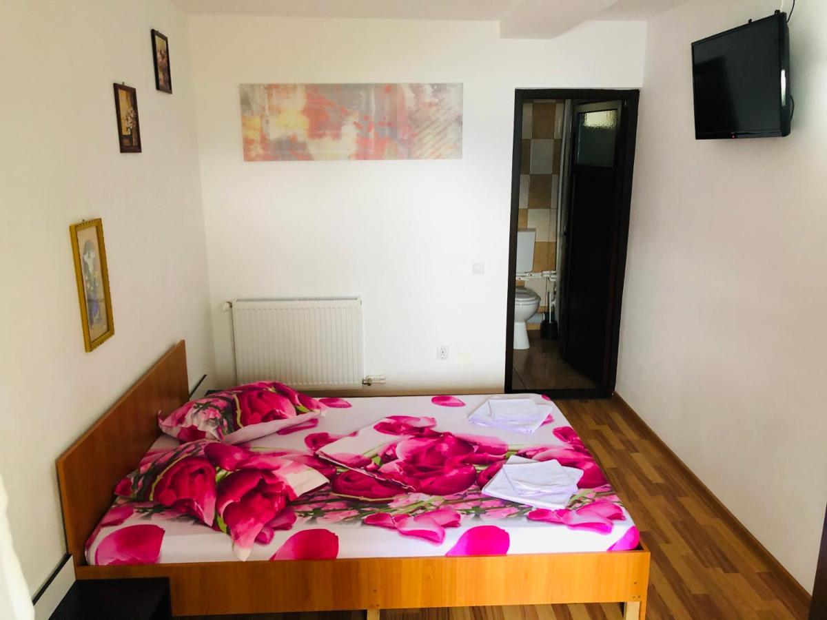 Casa Camelia Otel Dubova Dış mekan fotoğraf